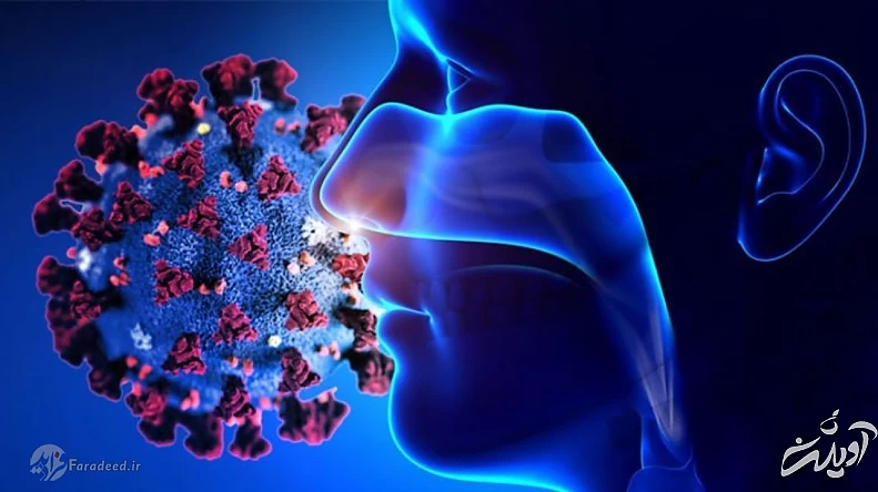 کرونا ممکن است تا یک سال حس بویایی مبتلایان را مختل کند